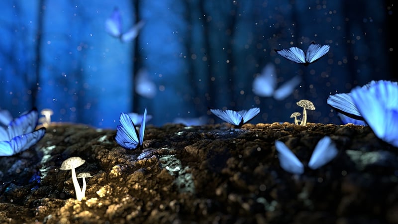 Magical Realms